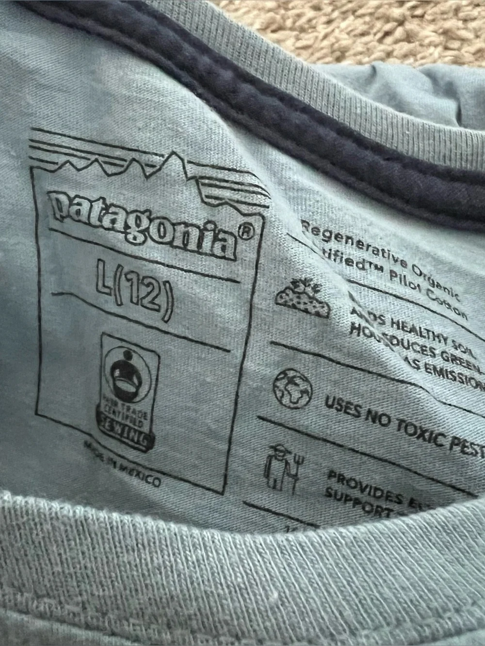 Patagonia light blue